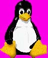 Linux Penguin 'Tux'