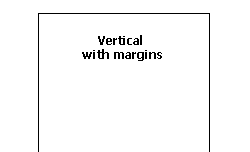 vertical with margin layout